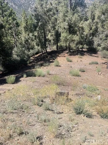 a view of a yard covered in snow
