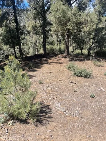 a view of dirt yard with a large tree