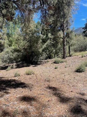 a view of snow covered with snow