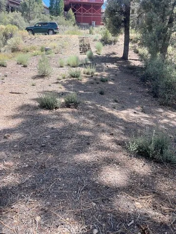 a view of a yard with plants and trees
