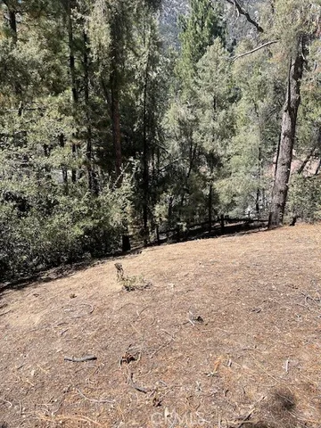 a view of empty space and yard