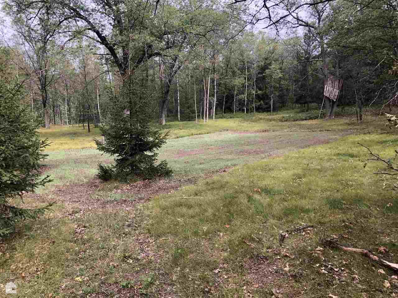 0 Carpenter Road Tawas City, MI 48748 - Photo 3 of 9