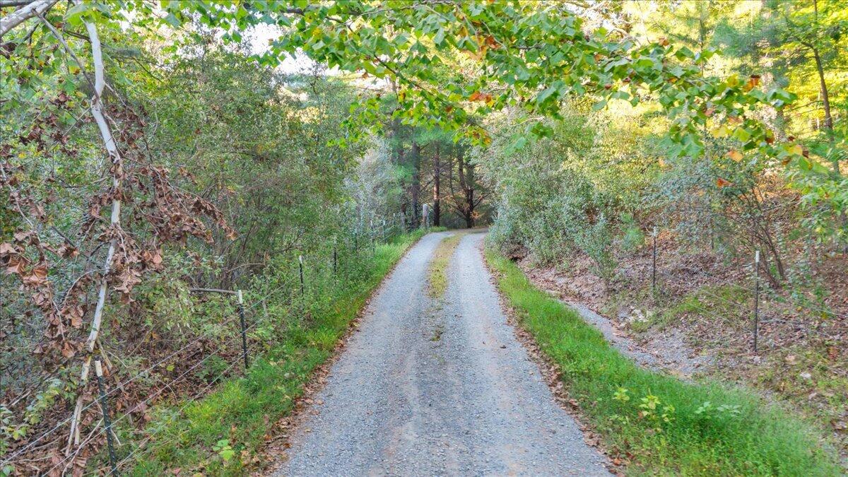 1182 Rabbit Drive Thaxton, VA 24174 - Photo 84 of 90 115-DJI_20261001173921_0328_D