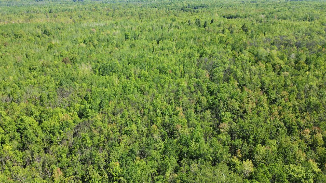On North Lake Head Road Hurley, WI 54534 - Photo 23 of 39 Gallery Image 23