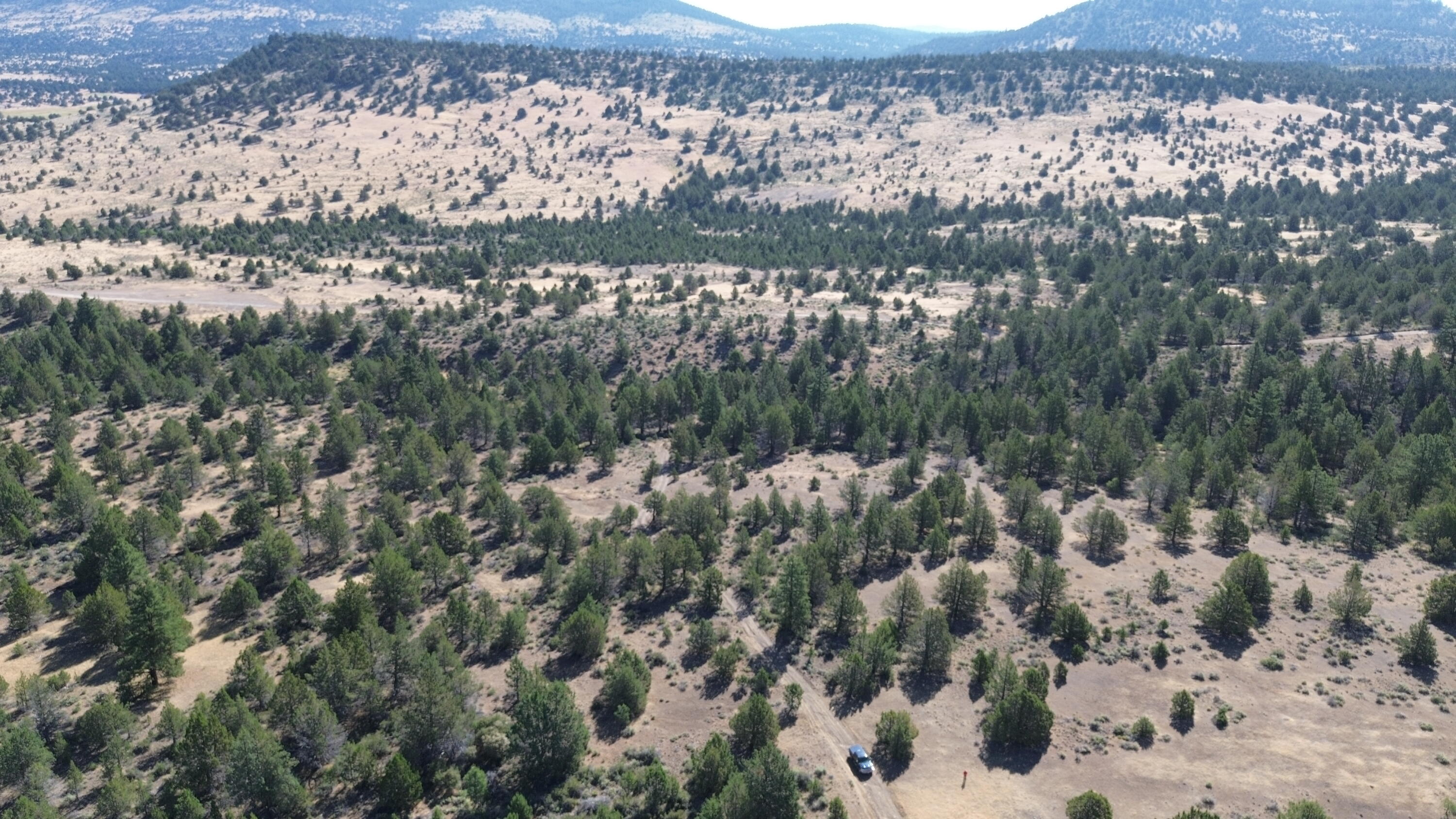 Lot 28 Butte Road Adin, CA 96006 - Photo 5 of 19 a view of a lot of trees and houses