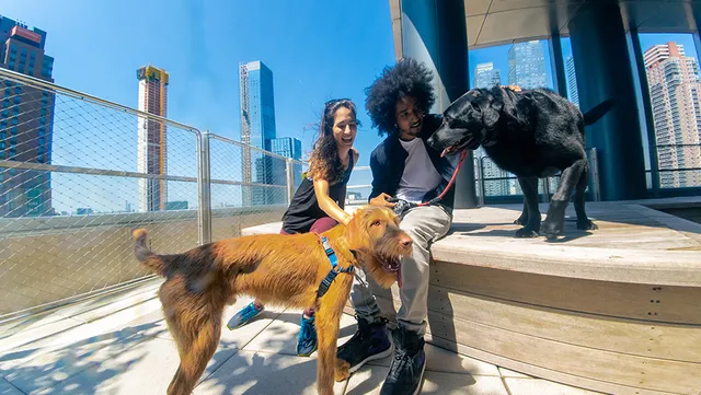 $8,200 | 555 10th Avenue, Unit 25E | Hudson Yards