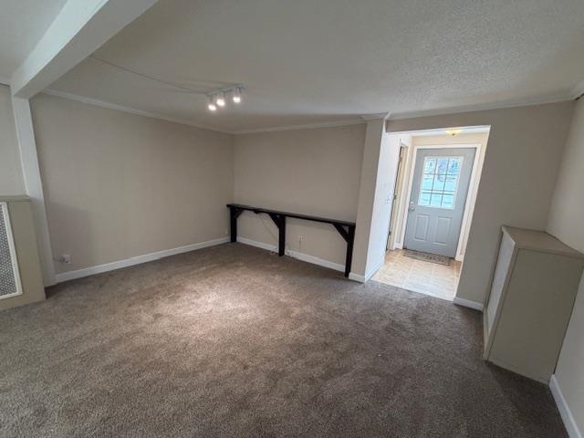 824 12th Street North Virginia, MN 55792 - Photo 10 of 34 Below grade area with carpet flooring and crown molding