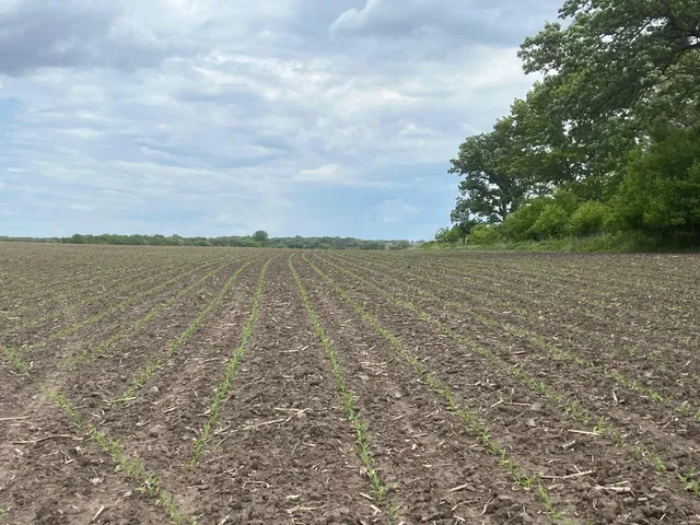 $1,349,000 | 56 Highway 56, Le Roy, MN 55951