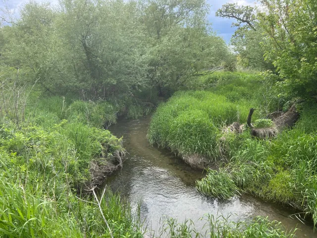 $1,349,000 | 56 Highway 56, Le Roy, MN 55951