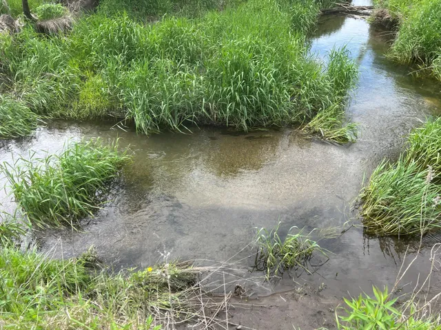 $1,349,000 | 56 Highway 56, Le Roy, MN 55951