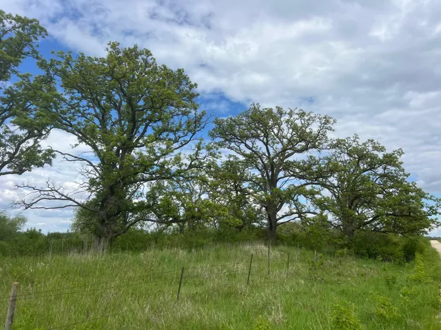 $1,349,000 | 56 Highway 56, Le Roy, MN 55951