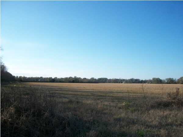 0 Leroy Brooks Road Opelousas, LA 70570 - Photo 2 of 6 Gallery Image 2