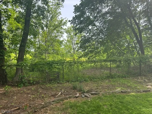 a view of a forest with trees in the background