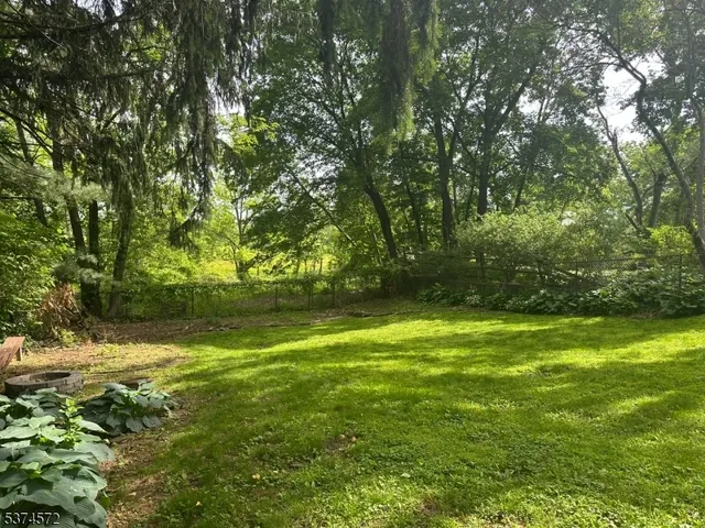 a view of yard with green space