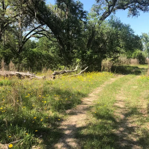 $1,995,000 | 10324 Farm To Market Road 530, Hallettsville, TX 77964