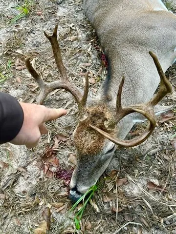 $1,900,000 | 10324 Farm To Market Road 530, Hallettsville, TX 77964