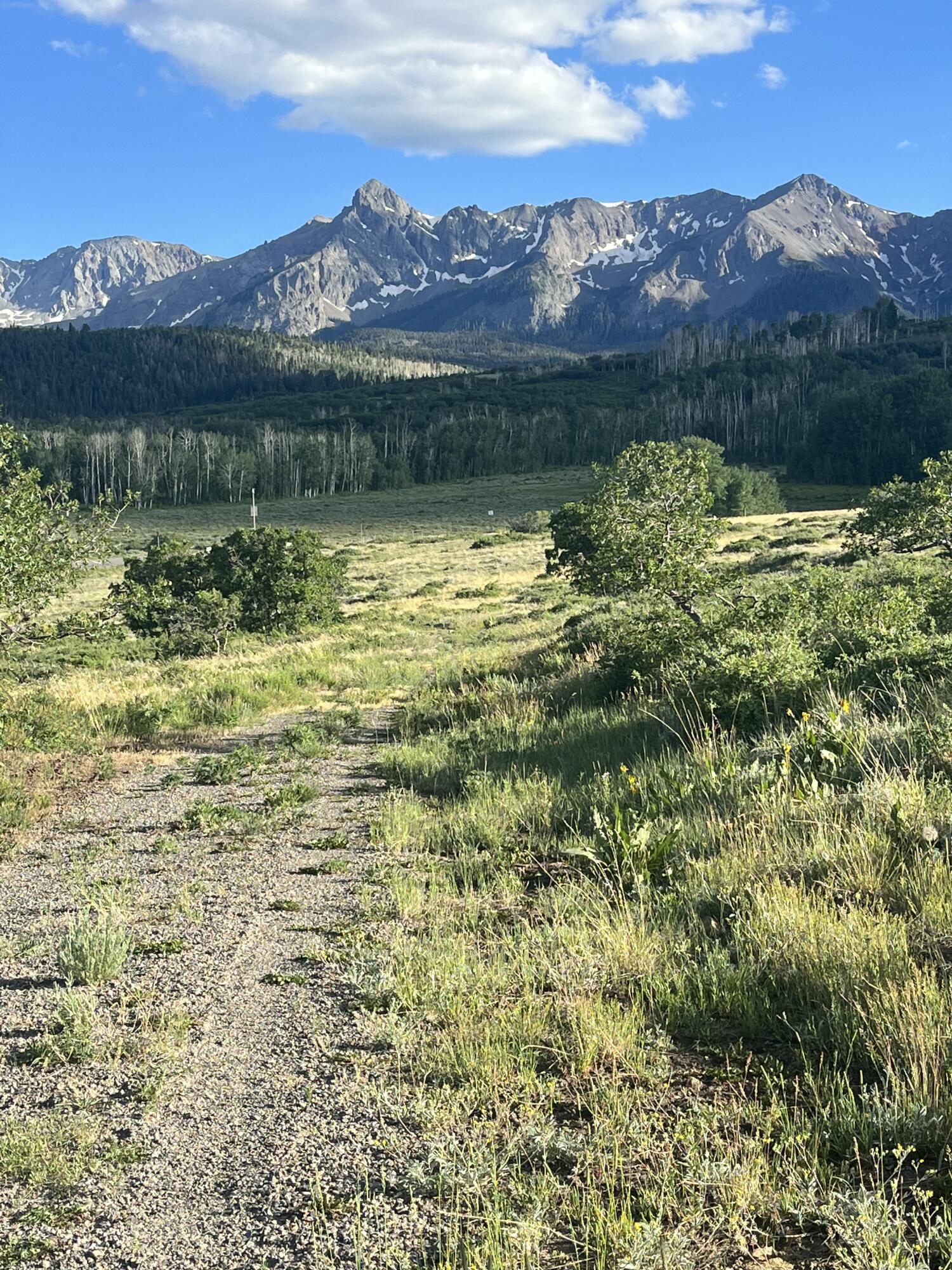 62 Highway 62 Ridgway, CO 81432 - Photo 8 of 13 Driveway
