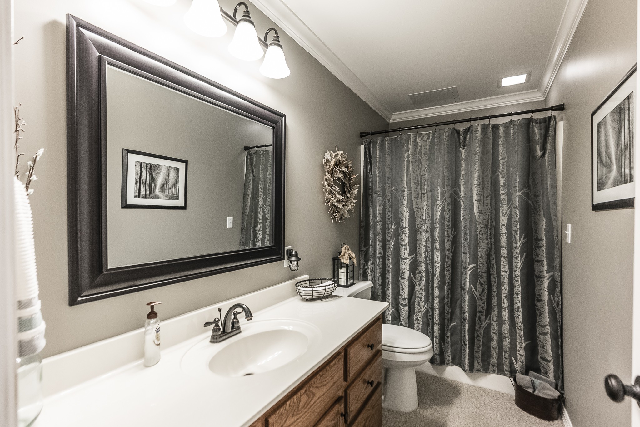 443 Mt Vernon Road Bethpage, TN 37022 - Photo 20 of 40 a bathroom with a sink a toilet a mirror and shower curtain