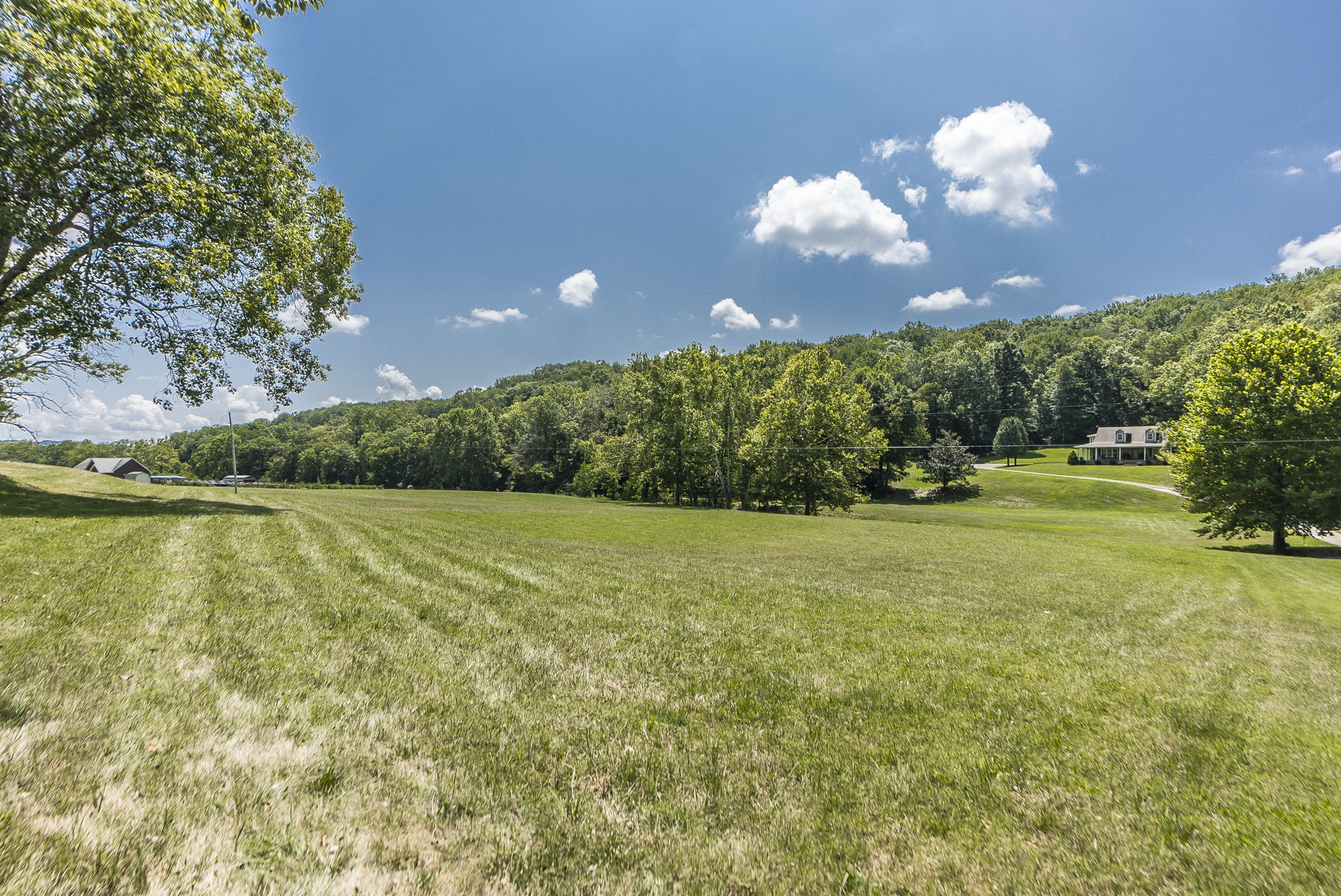 443 Mt Vernon Road Bethpage, TN 37022 - Photo 30 of 40 a view of a lake with a yard