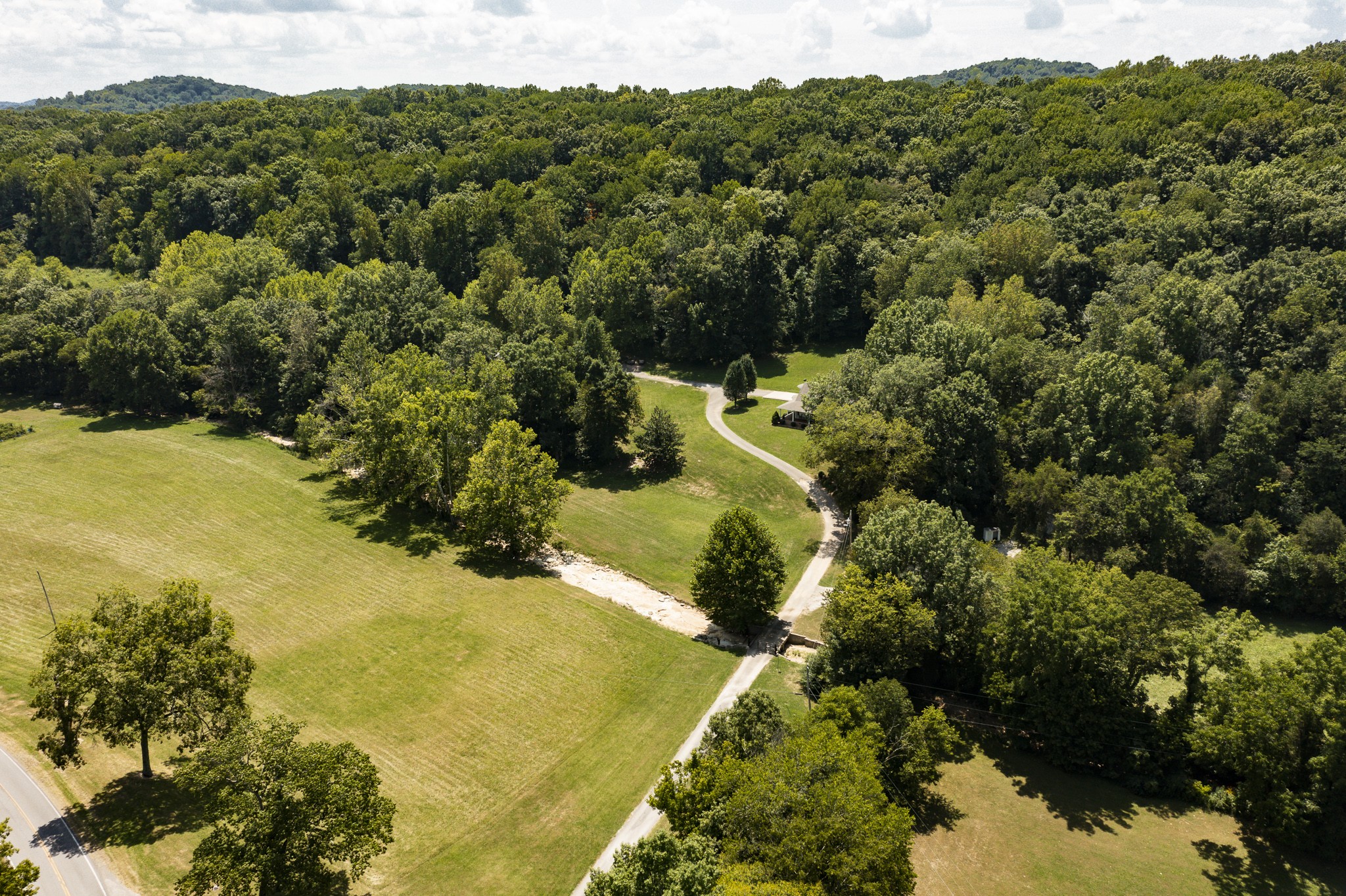 443 Mt Vernon Road Bethpage, TN 37022 - Photo 35 of 40 a view of a forest with a lake