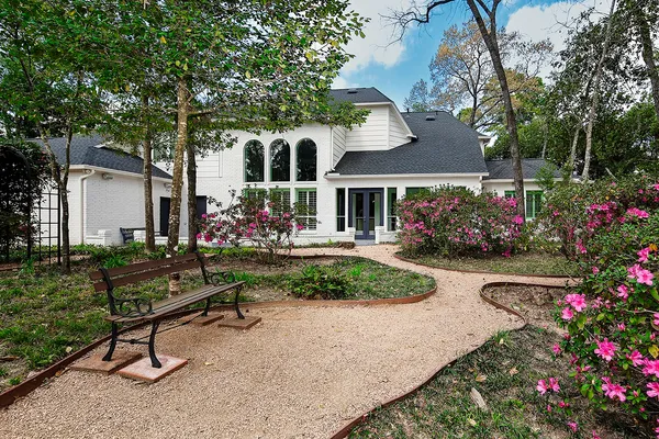 a view of a garden with plants and large trees