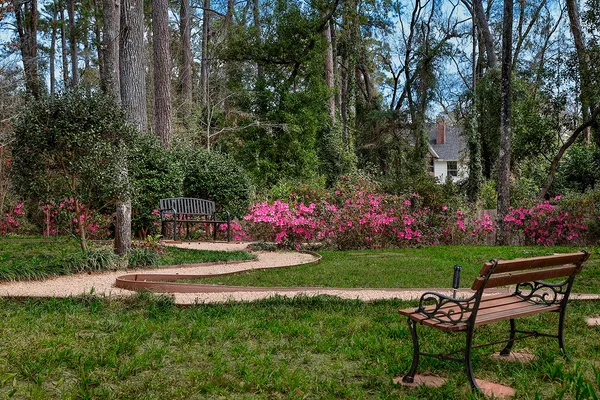 a view of a garden with flowers and trees