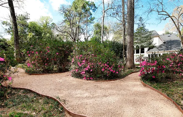a view of a yard with flowers