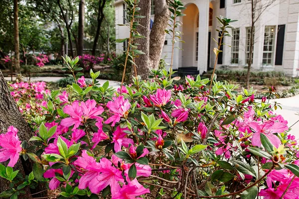a front view of a house with a wooden door