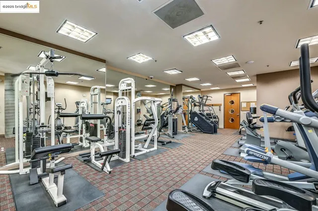 a view of a balcony with two chairs and a potted plant