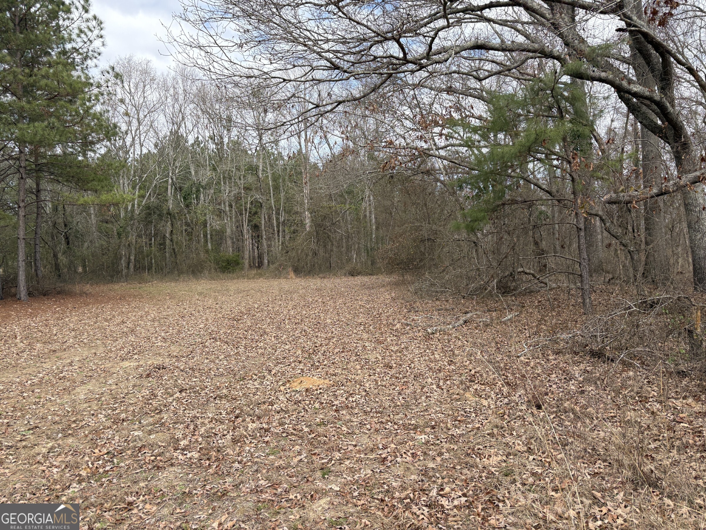 L8 Quaker Road Keysville, GA 30816 - Photo 3 of 10
