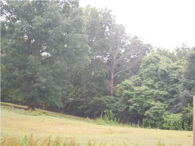 9702 Sims-Harris Road Ooltewah, TN 37363 - Photo 23 of 27 Additional Photo