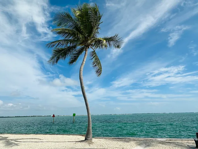 a view of swimming pool with outdoor seating and a potted plant