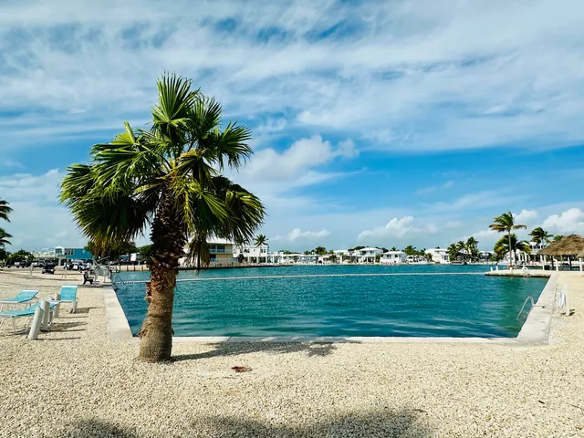 a view of a swimming pool and a chair