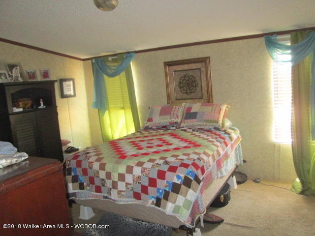 285 Prospect Road Sulligent, AL 35586 - Photo 3 of 23 Gallery Image 3
