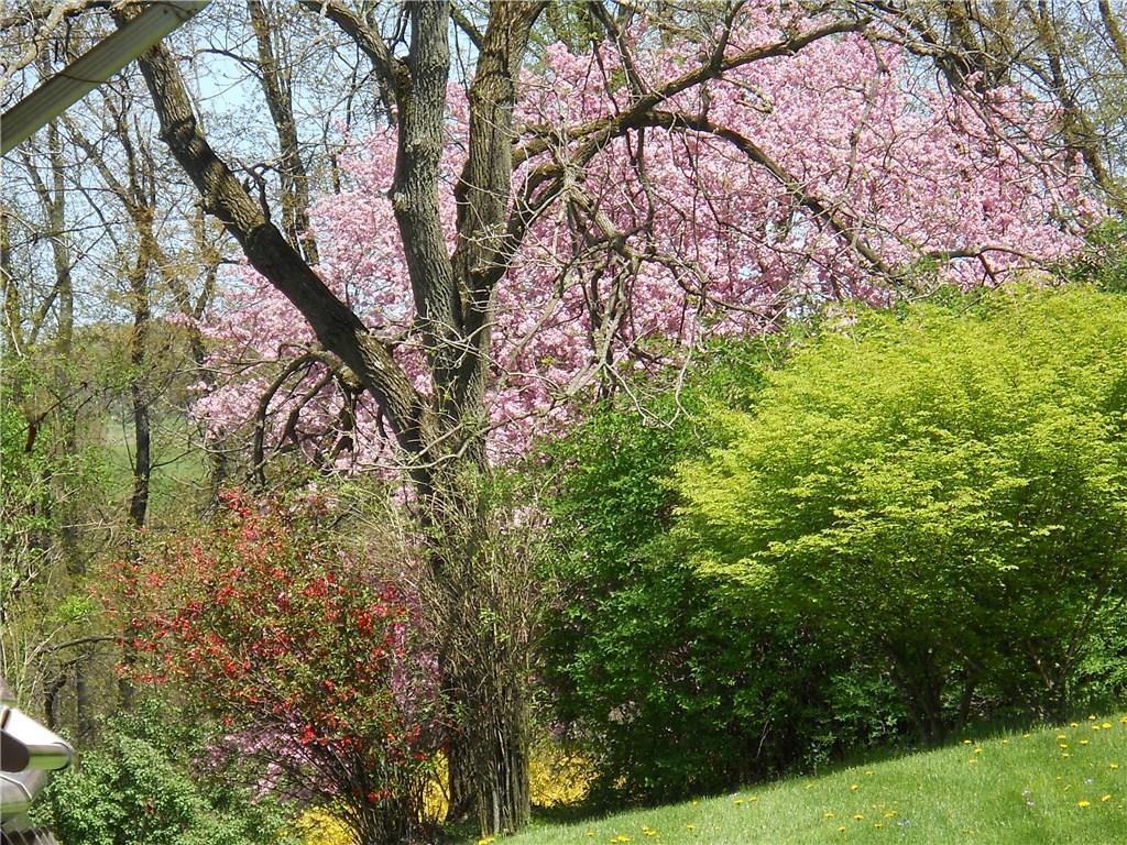 1059 Butler Road Kittanning, PA 16201 - Photo 20 of 20