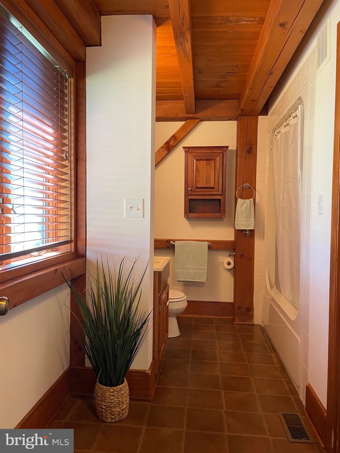 521 Dearing Road Huntly, VA 22640 - Photo 22 of 42 a bathroom with a potted plant and a shower