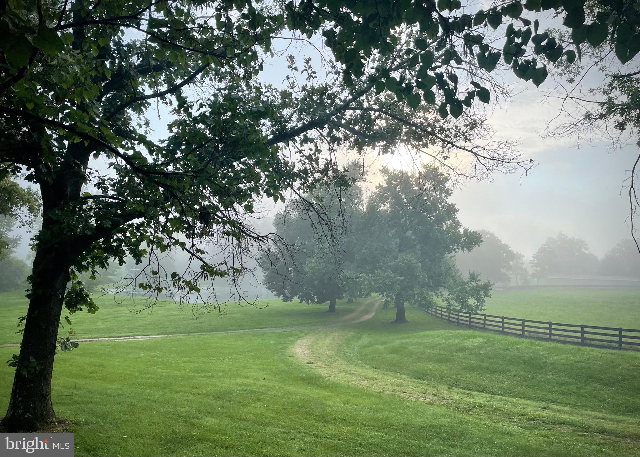 521 Dearing Road Huntly, VA 22640 - Photo 42 of 42 a view of outdoor space with green field and trees all around