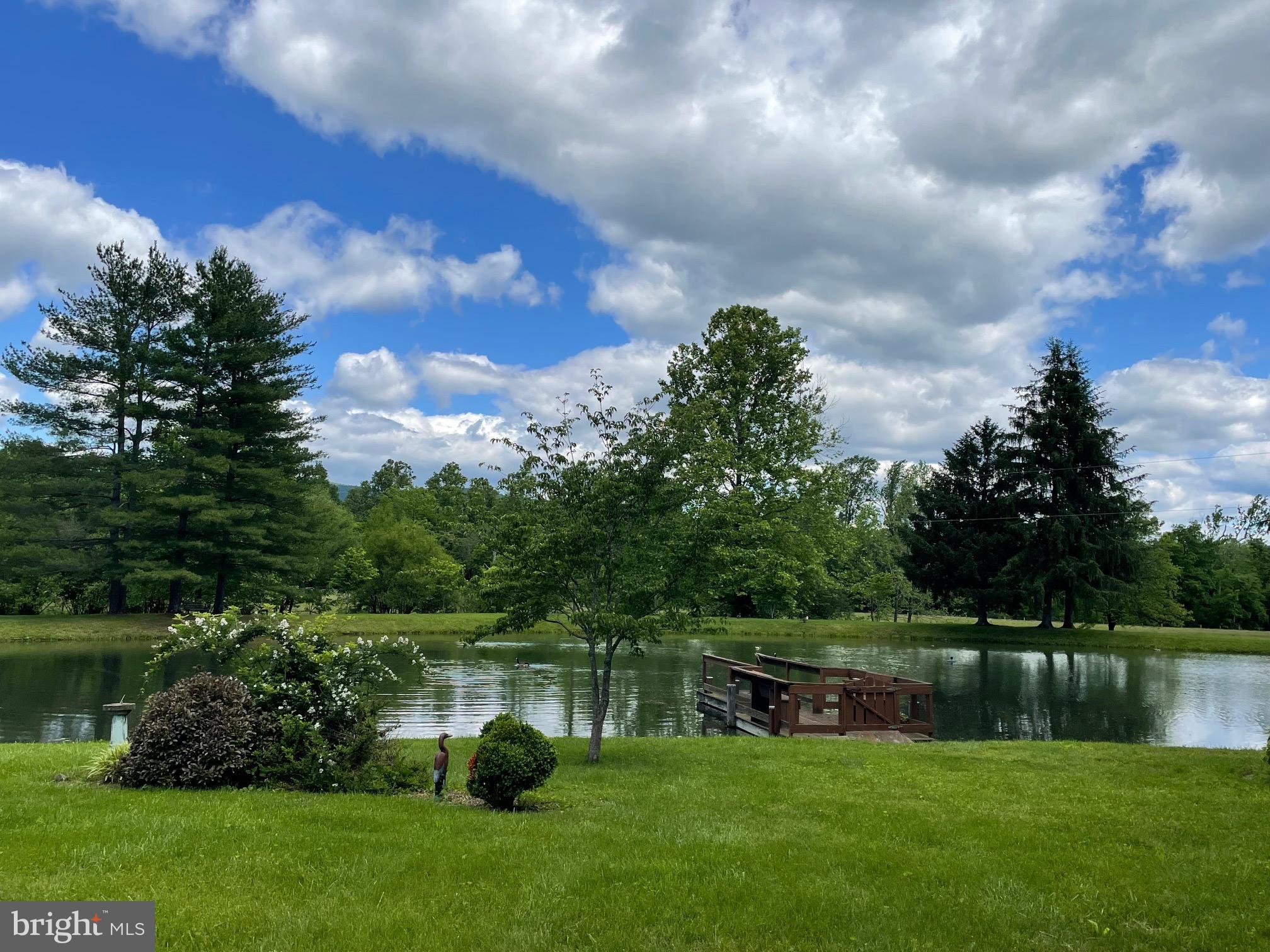 521 Dearing Road Huntly, VA 22640 - Photo 6 of 42 a view of lake with green space