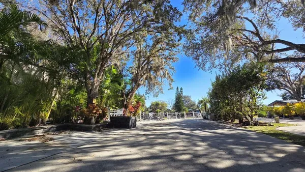 a view of road with trees