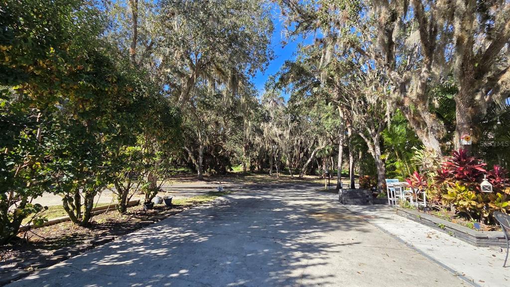 451 Waterway Drive River Ranch, FL 33867 - Photo 6 of 15