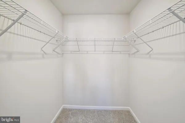 a bathroom with a shower and a toilet
