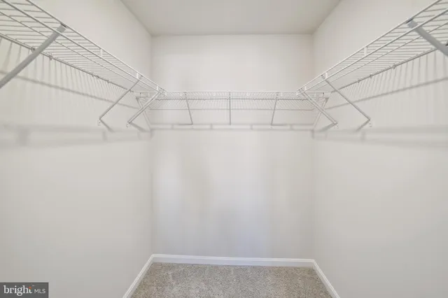 a bathroom with a shower and a toilet