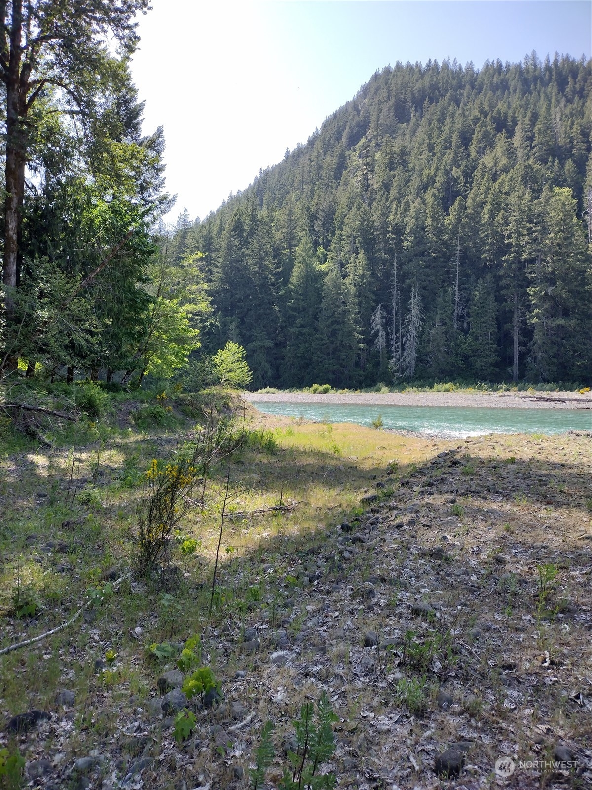 299 Baker Road Randle, WA 98377 - Photo 8 of 18 Gallery Image 8