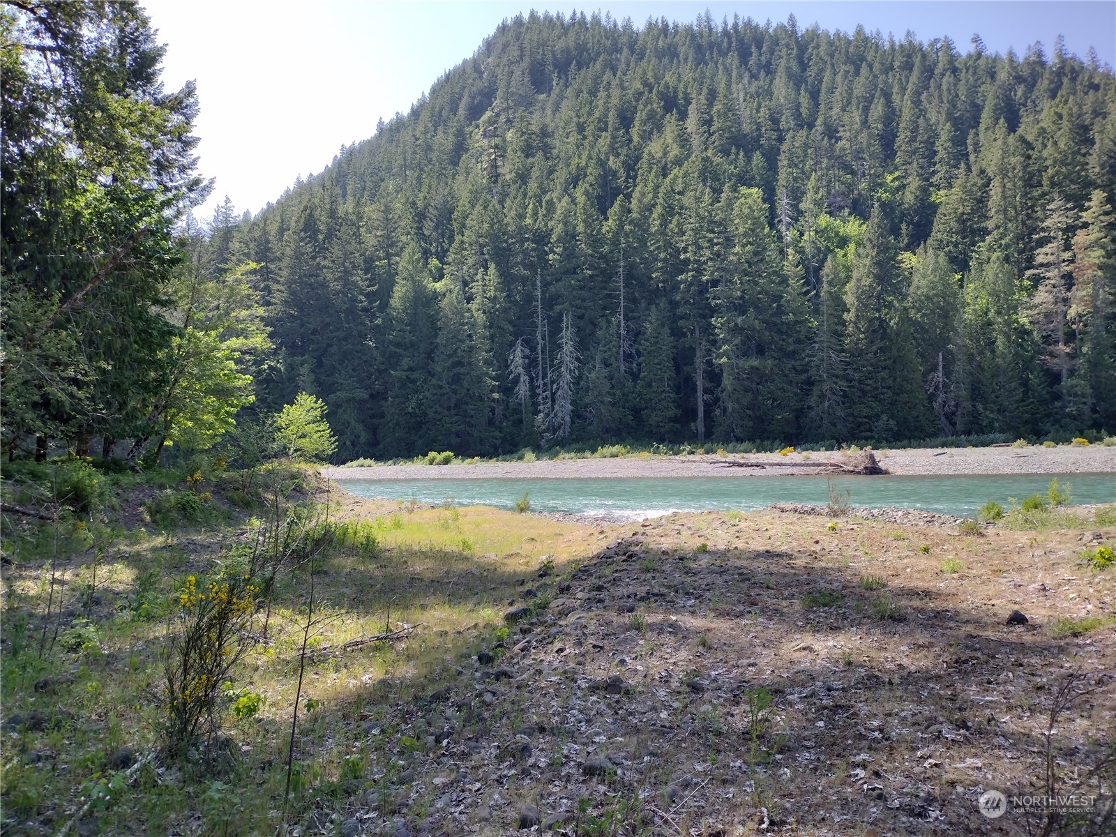 299 Baker Road Randle, WA 98377 - Photo 9 of 18 Gallery Image 9