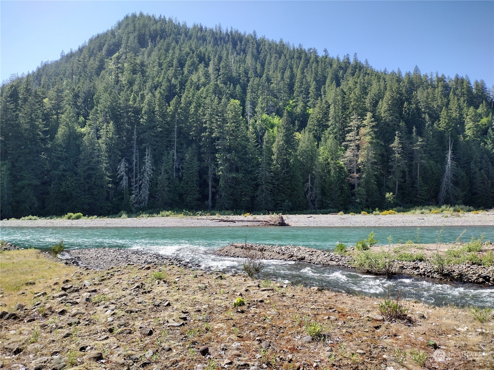 299 Baker Road Randle, WA 98377 - Photo 10 of 18 Gallery Image 10