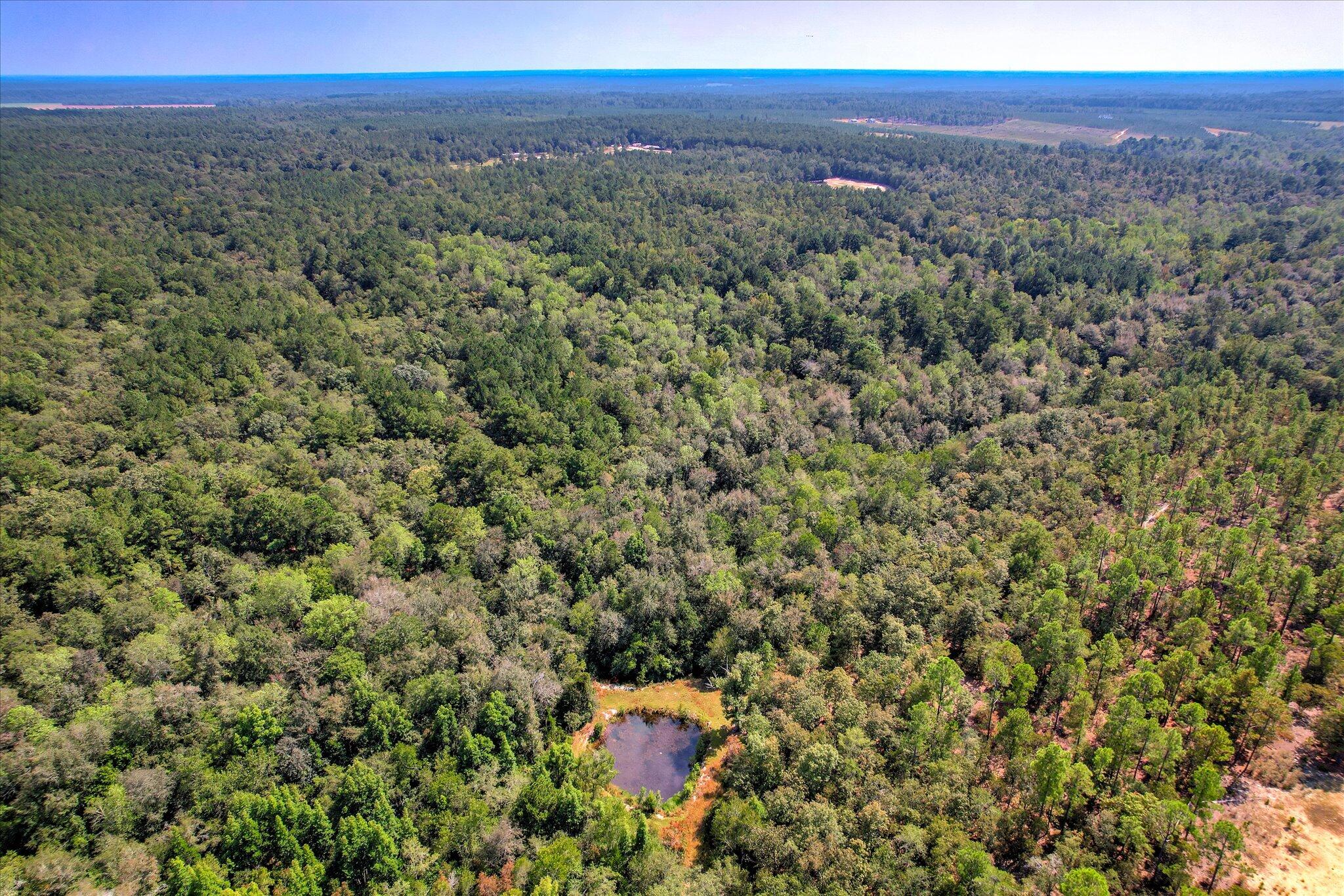 001 A Centerwood Road Williston, SC 29853 - Photo 13 of 19