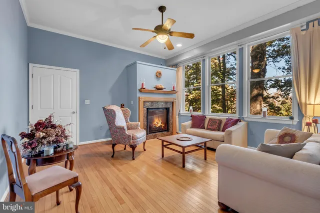 a view of a livingroom with a chair and potted plant
