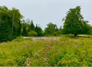 341 Mooseneck Road Addison, ME 04606 - Photo 3 of 12 looking towards road