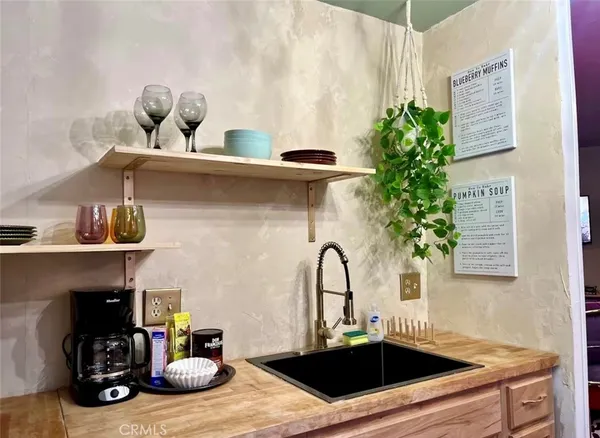 a kitchen with a sink a potted plant and cabinets