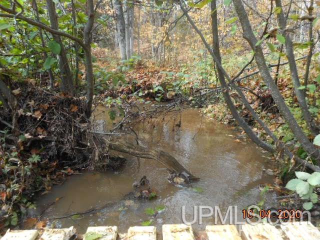28662 South Wasas Road Mass City, MI 49948 - Photo 6 of 13